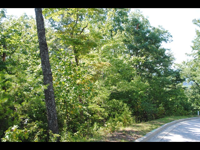 Image of Winterberry Drive, Lot A-6